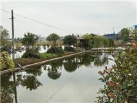養(yǎng)殖基地1